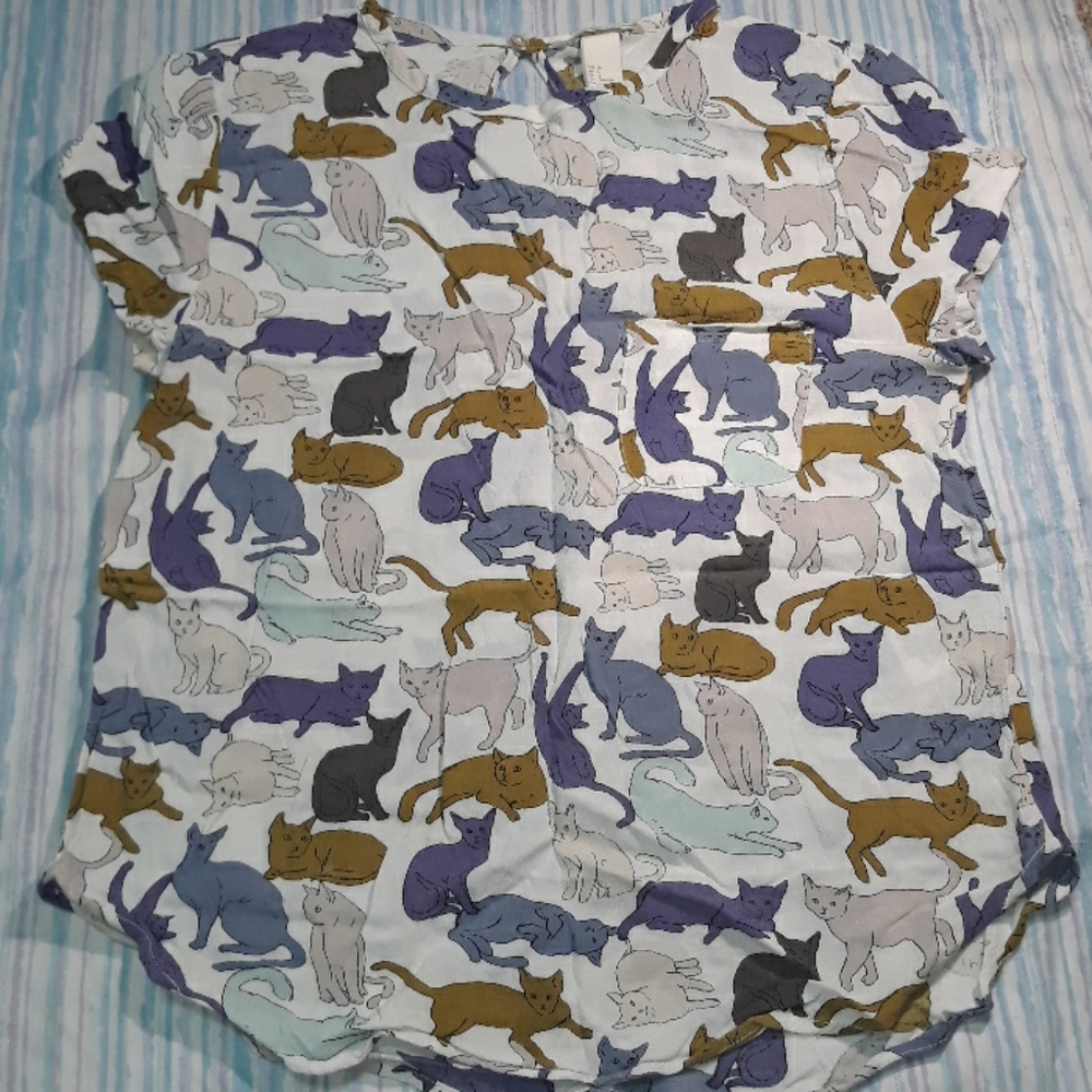 H&M Blouse